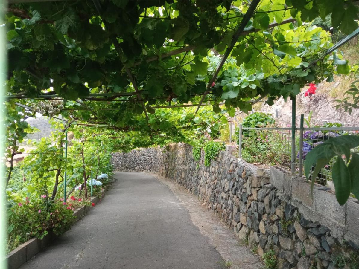 Casa Rural Quilla Agulo Екстериор снимка