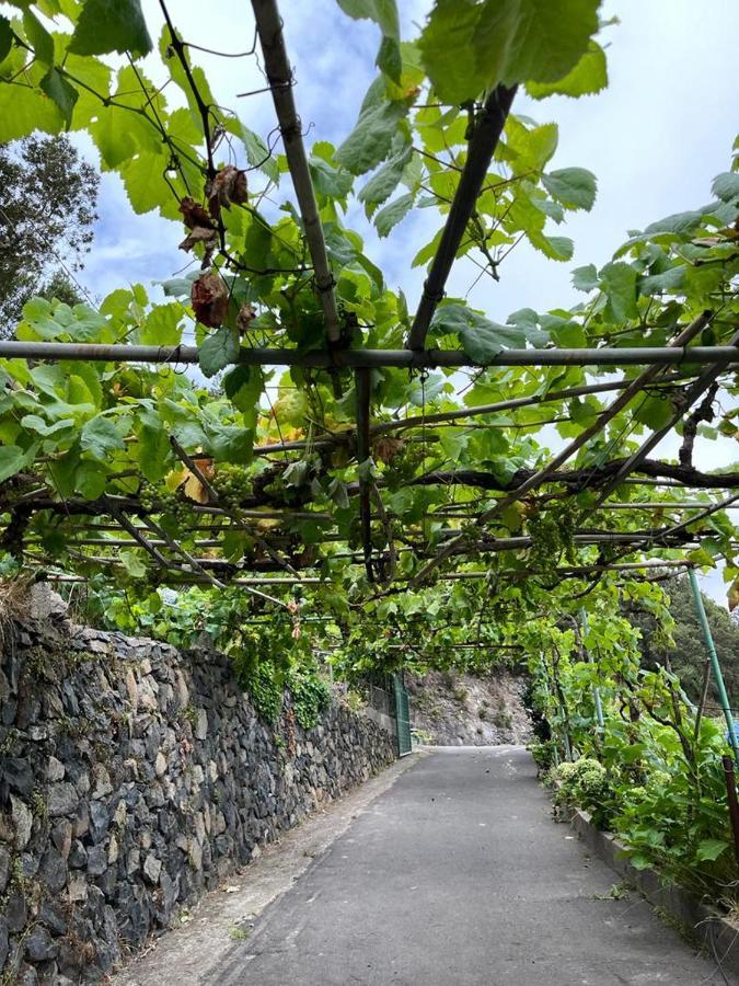 Casa Rural Quilla Agulo Екстериор снимка