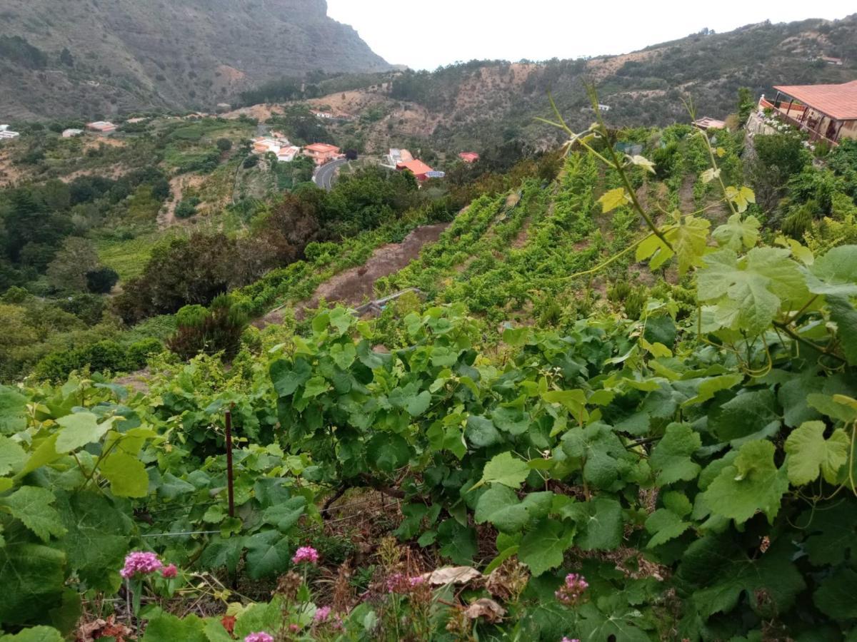 Casa Rural Quilla Agulo Екстериор снимка